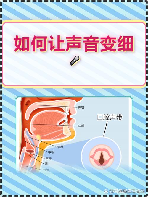 怎么让声音变细