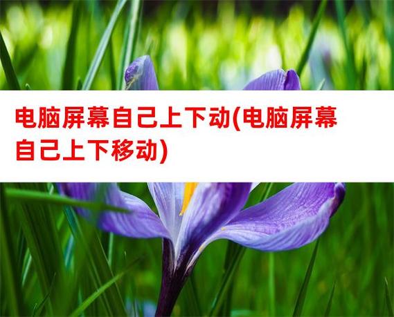 电脑屏幕界面自动上下移动