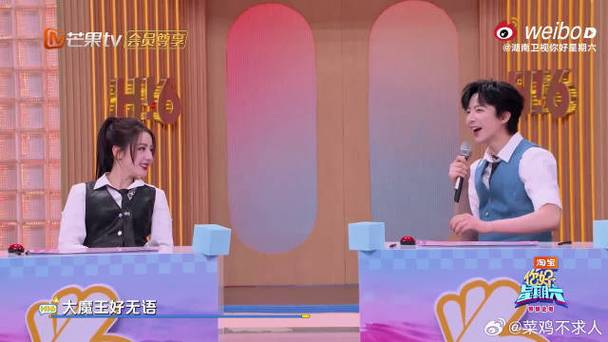 跟明星一起唱歌的综艺
