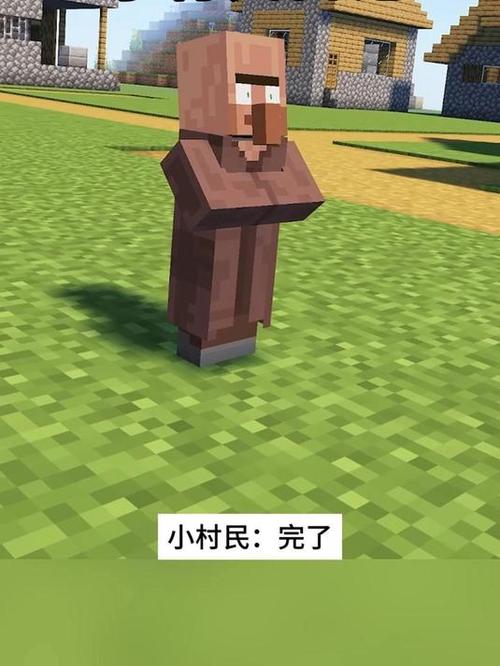我的世界小村民长大 我的世界小村民长大