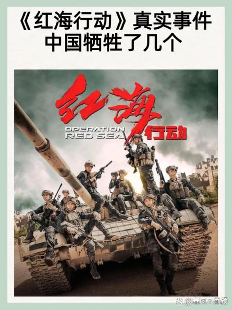 红海行动中国武警截图3