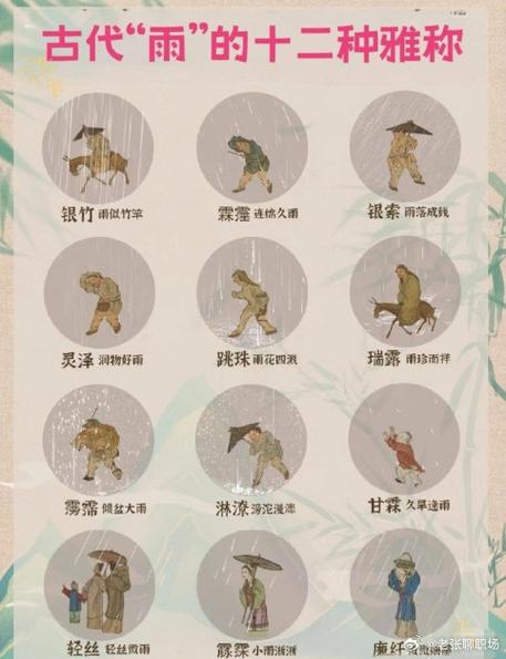 古代雨的雅称单字