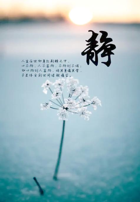 静心咒诵读
