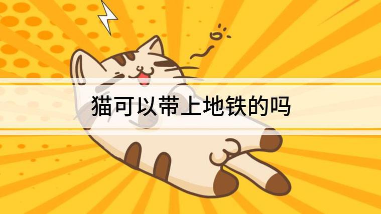 坐地铁能带猫咪吗