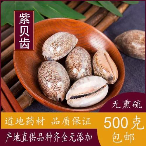 紫贝家园怎么赚贝壳