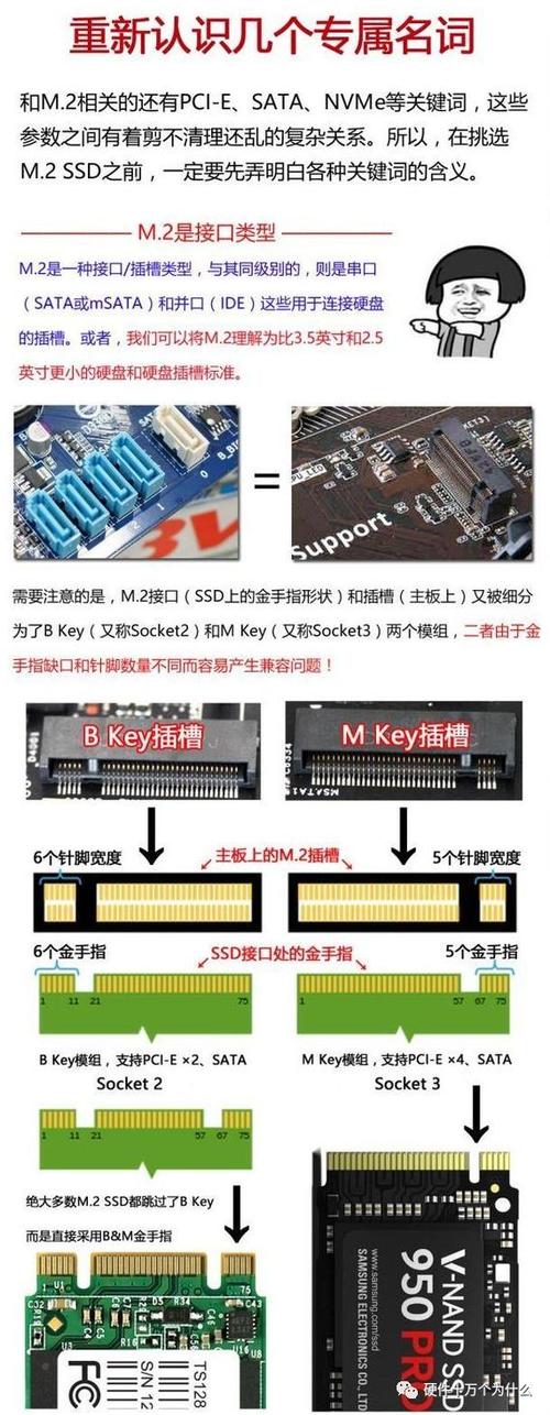 华硕b360有m2接口么