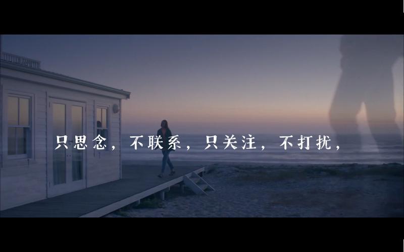偷偷关注却不打扰的原因截图3
