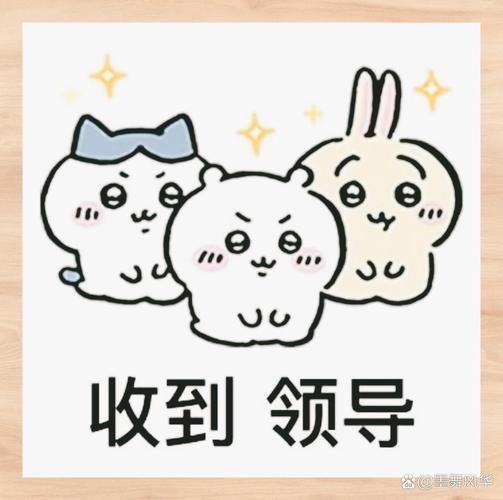 一切听从领导安排表情包