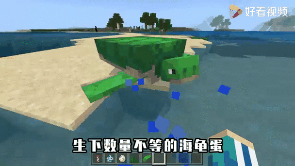 我的世界海龟蛋孵化需要什么条件