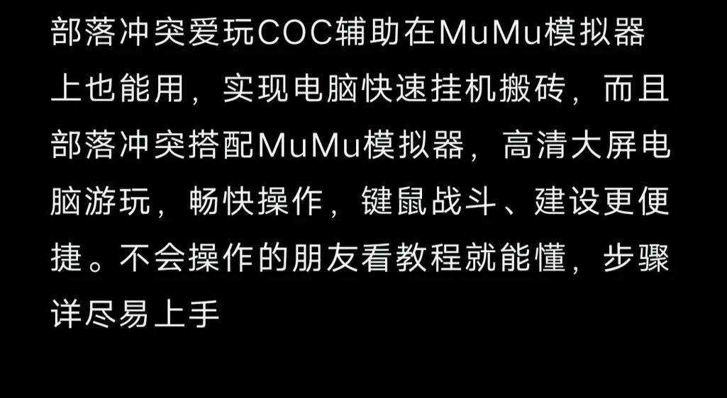 爱玩COC辅助怎么用