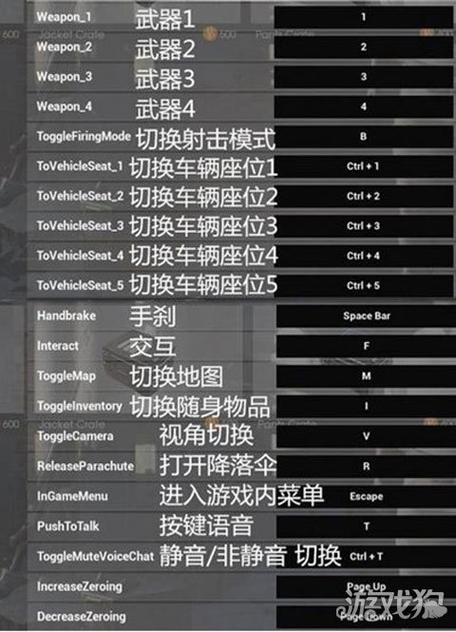 pubg按什么切换队友视角截图3