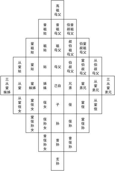 三亲九族是哪些