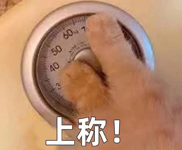 体重秤emoji