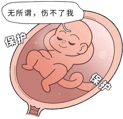 怀孕前三月同房会怎么样