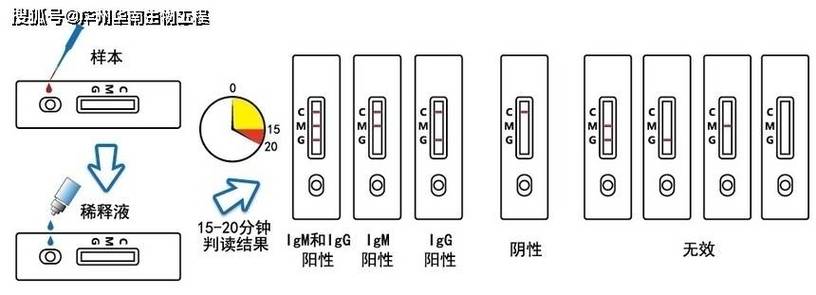 igg最全教程截图2