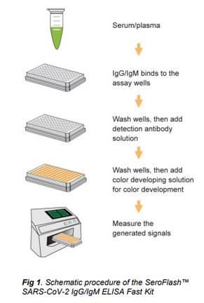 igg最全教程截图3