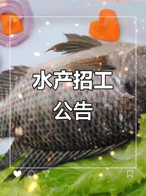海鲜池养鱼师傅招聘截图3