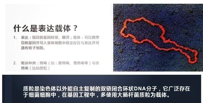 DNA8.8.8
