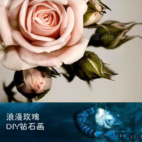 钻石浪漫物语经典语录截图2