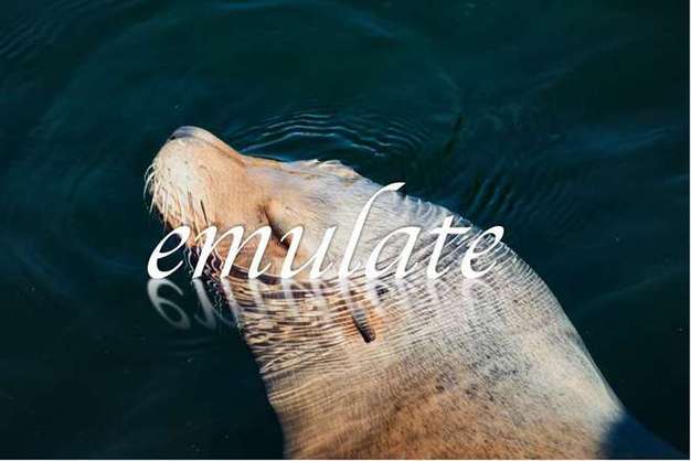 emulate 翻译图标