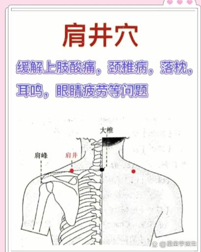 端肩膀有什么好处