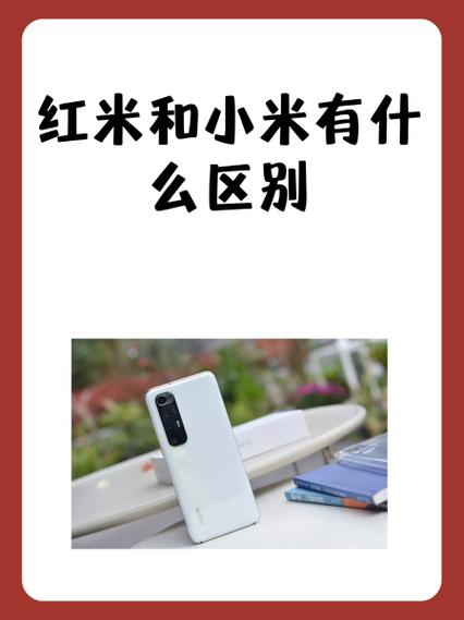小米和红米怎么选