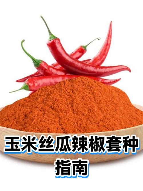辣椒套种丝瓜怎么种