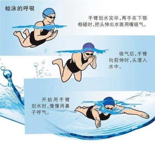 经常蛙泳有什么好处