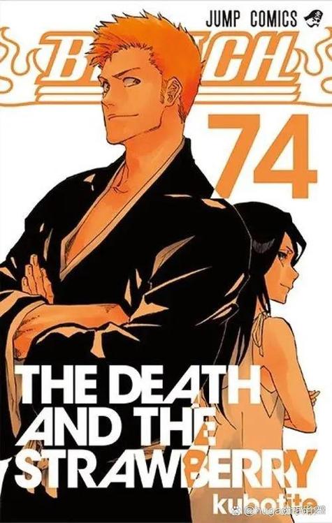 死神完结了没图标