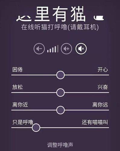 小猫叫声 播放器