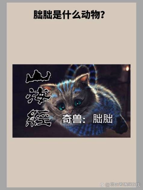 猫猫在线阅读