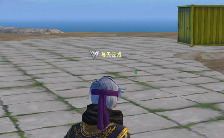 和平精英悦享卡logo不见了