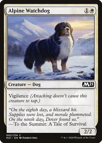 watch dog