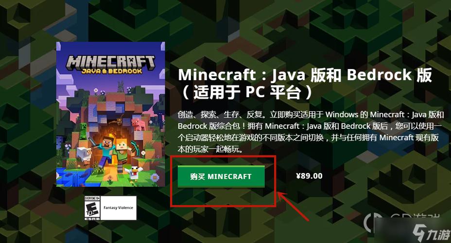 我的世界领域服购买
