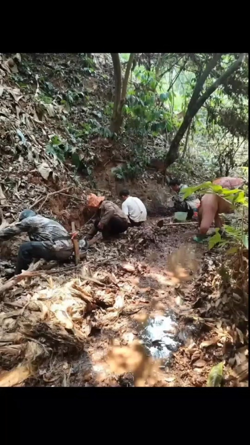 哪里可以参加荒野求生