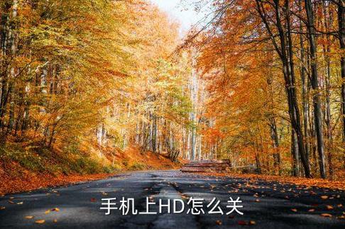 HD1怎么关掉