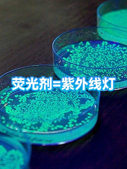 荧光灯和紫外线灯区别
