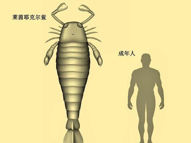 巨虫时代存在吗