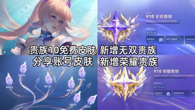 贵族10皮肤共享有次数限制吗
