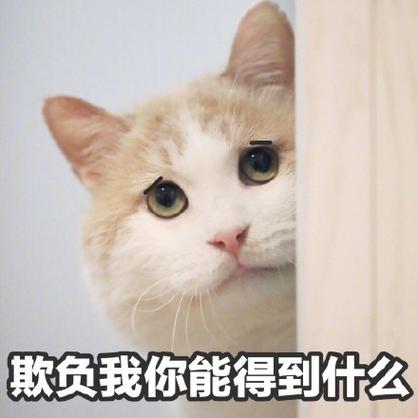 再让我欺负你一下下书包网
