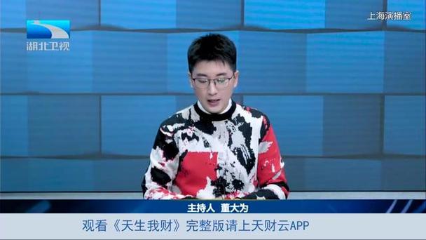 湖北卫视在线直播观看高清免费截图3