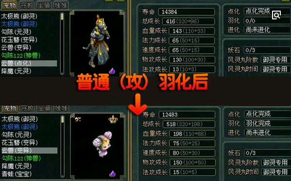 问道宠物怎么羽化省钱