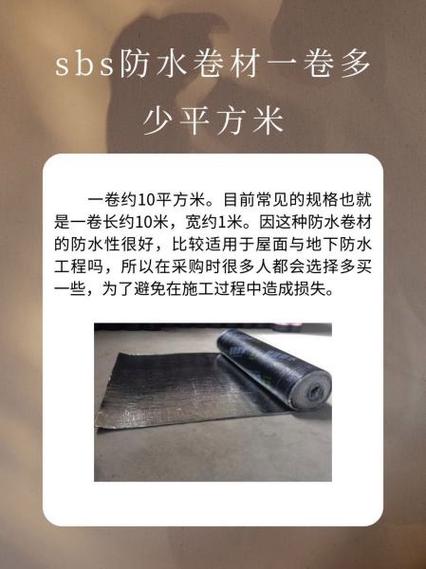 sbs币今年能到1亿吗