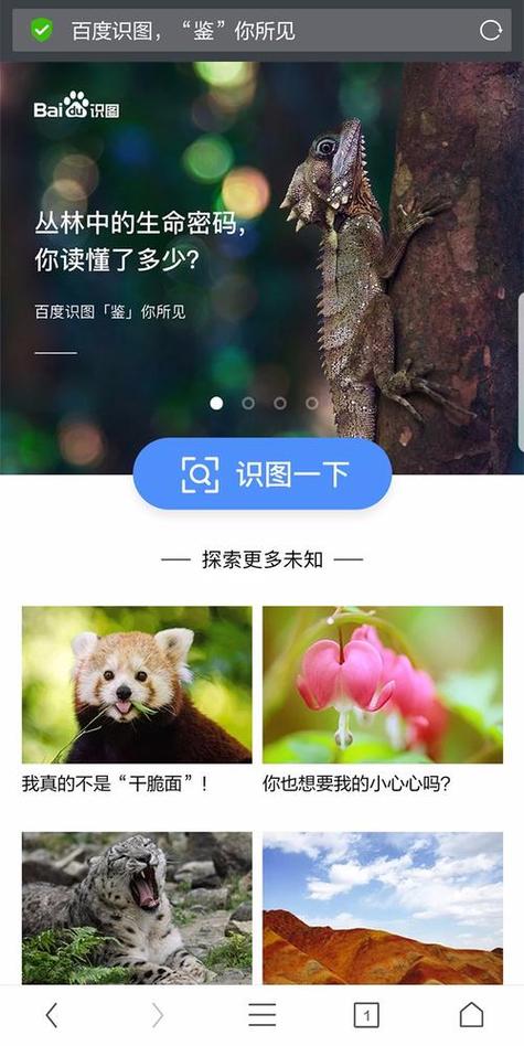 上传照片在线浏览网站
