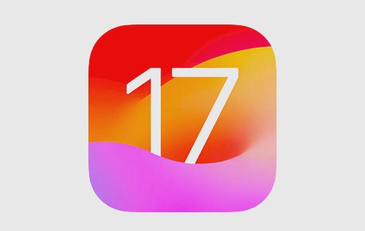 17录入网站