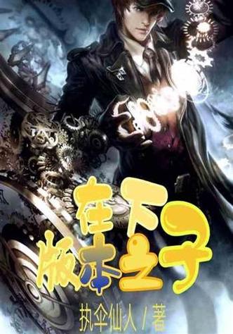 版本之子是什么意思