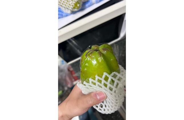 杨桃手机活动