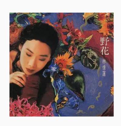 野花谁唱的最好