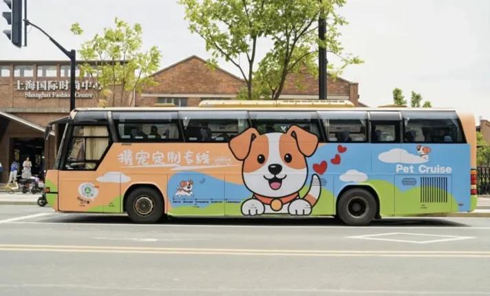 公交地铁能带宠物吗