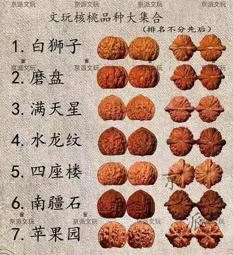 文玩核桃新品种
